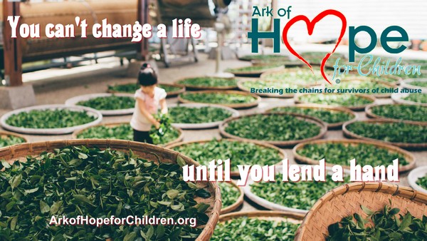 Change A Life 600